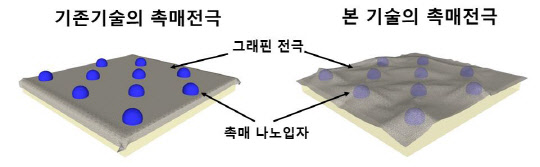 화학연은 촉매 위에 얇은 그래핀 단원자층을 덮어 촉매의 수명을 획기적으로 늘려 혈당센서를 1년 동안 사용할 수 있는 기술을 개발했다.    화학연 제공